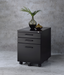 Peden Black File Cabinet image