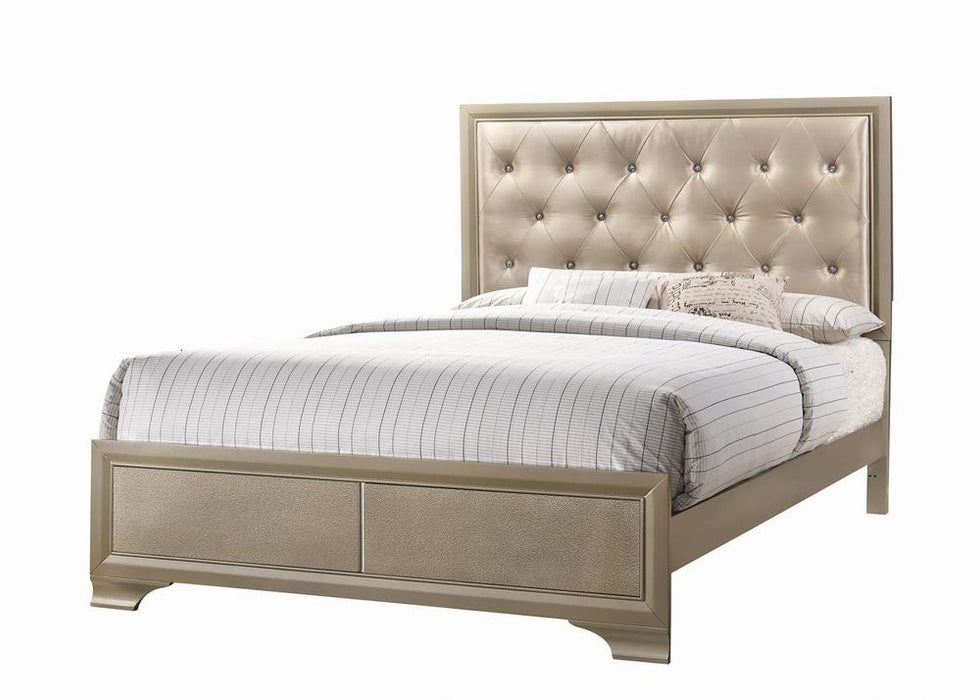 Beaumont Transitional Champagne Queen Bed - Eclectic 79 Furniture Store